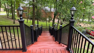 Wooden staircase with black railings surrounded by trees