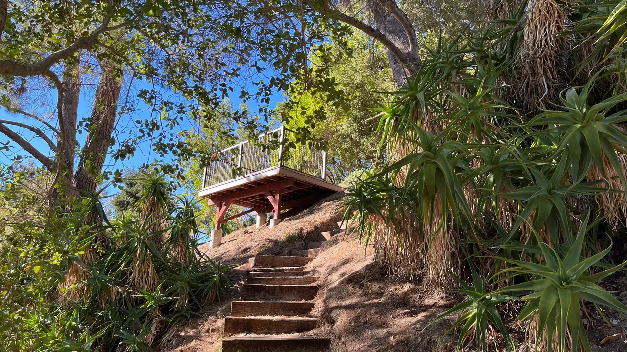 Wooden observation deck on a hill surrounded by green foliage